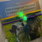 manillas de amigas